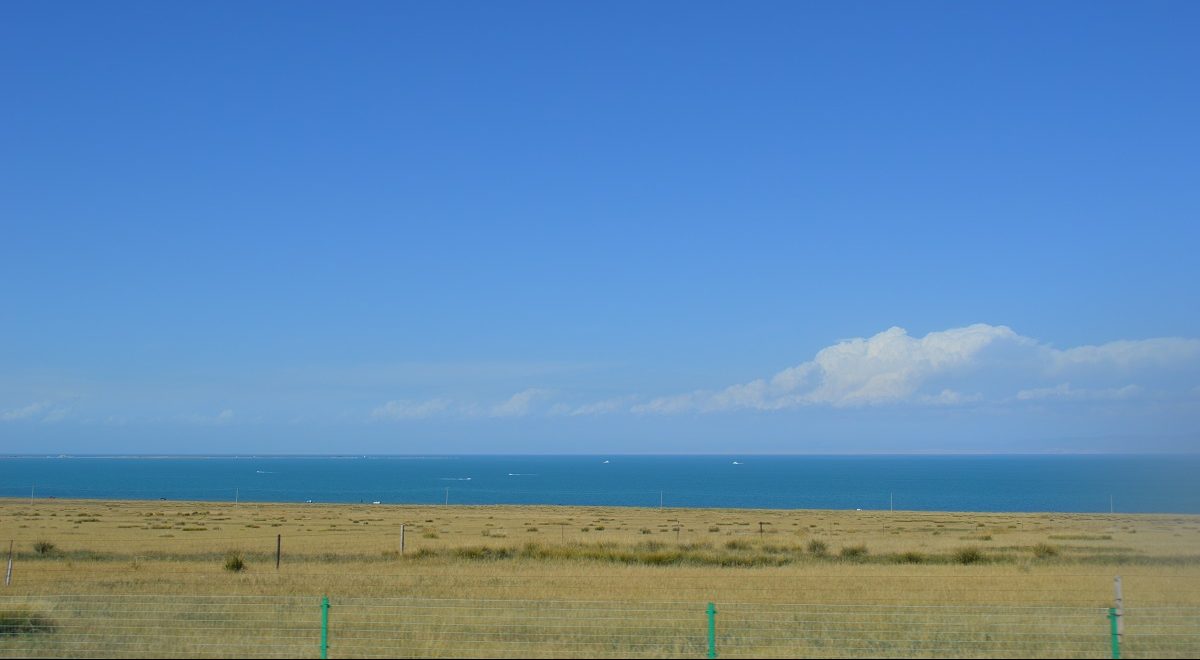 一起去看青海湖