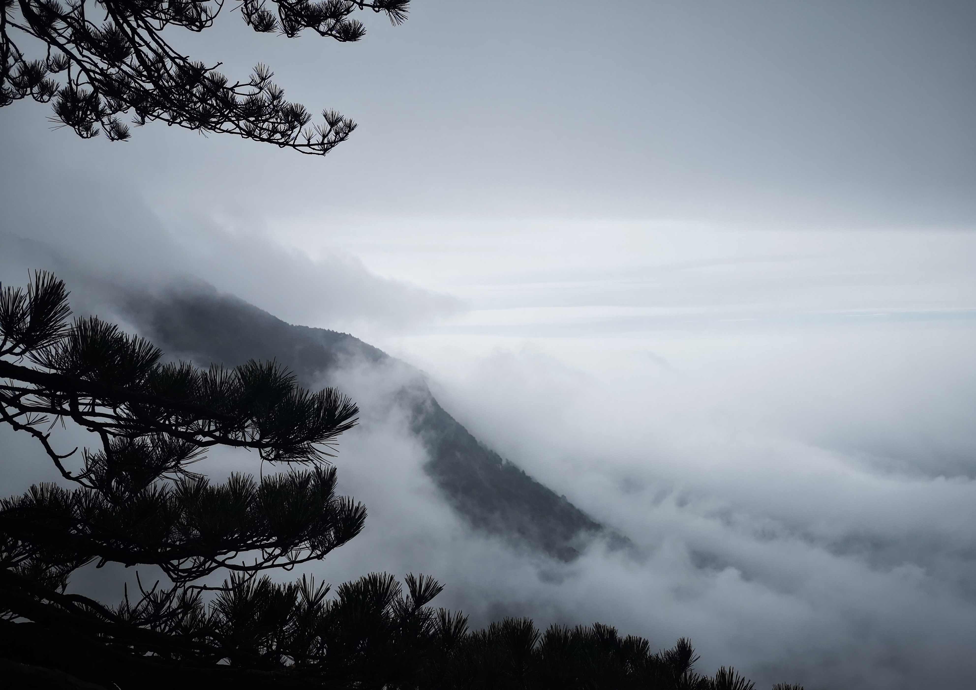 宜春明月山